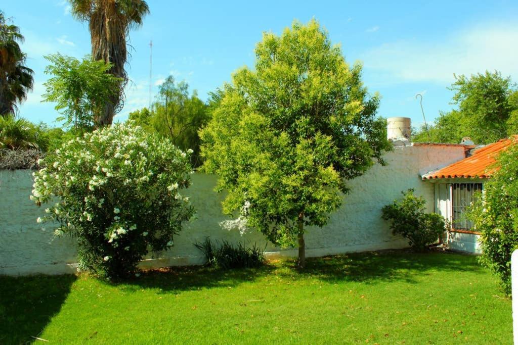 Big Beautiful House With Garden In 5Ta Seccion Neighbourhood Villa Mendoza Eksteriør billede