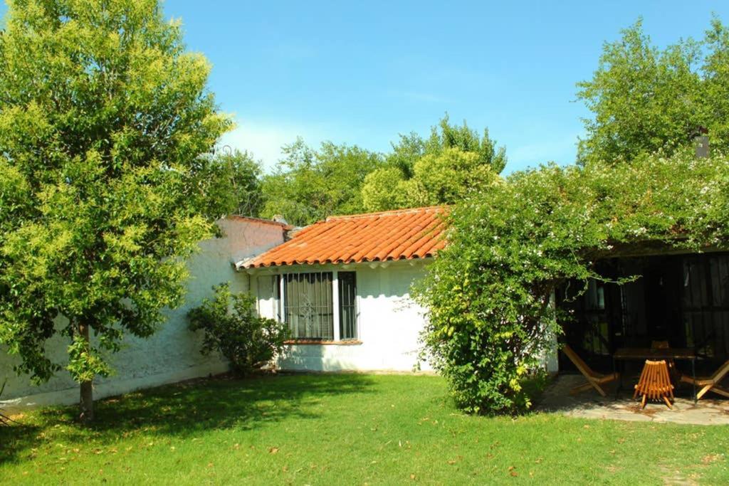 Big Beautiful House With Garden In 5Ta Seccion Neighbourhood Villa Mendoza Eksteriør billede